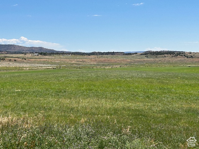 View of yard with a rural view