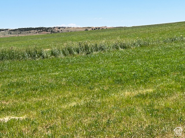View of undeveloped land featuring rural landscape