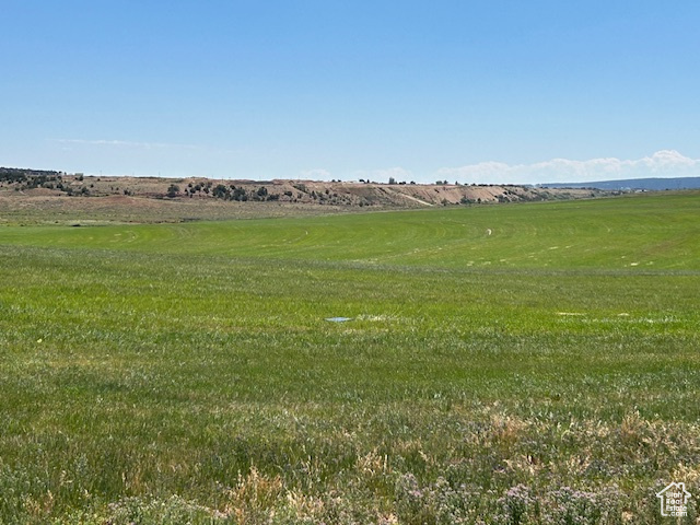View of yard with a view of rural / pastoral area