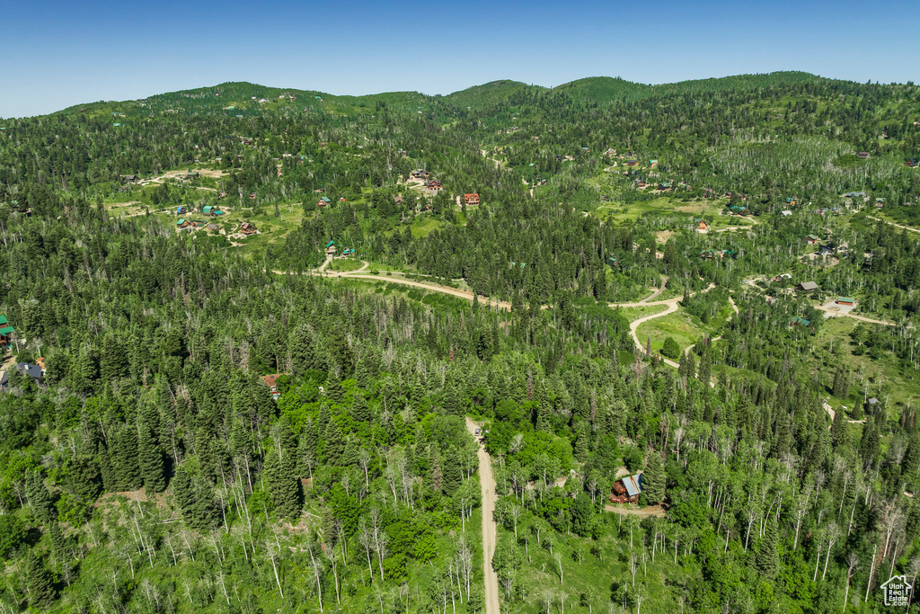 View of mountain background with a forest