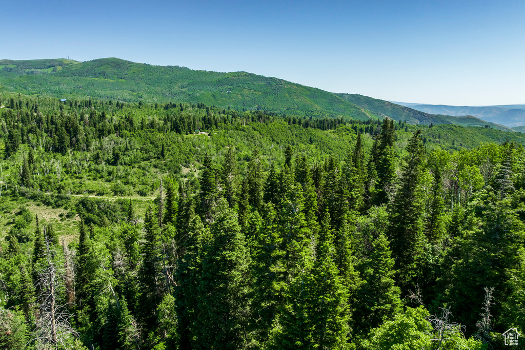 View of mountain background with a heavily wooded area