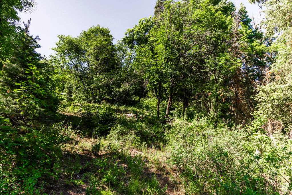 951  HIDDEN CIR Wanship, UT 84017
