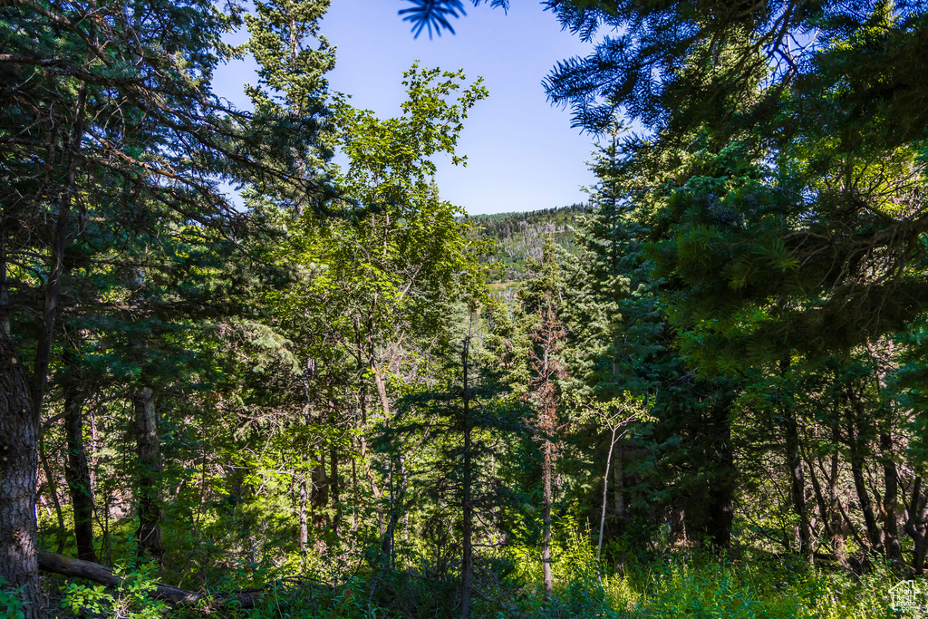 951  HIDDEN CIR Wanship, UT 84017