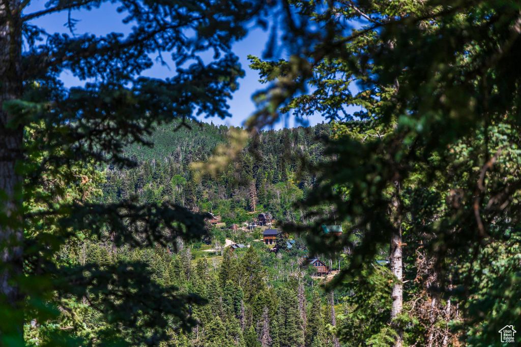View of mountain backdrop featuring a forest