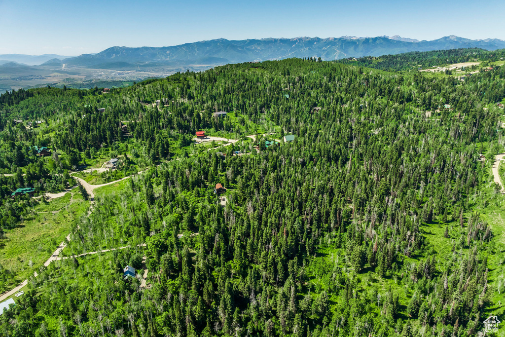 Bird's eye view of a mountainous background
