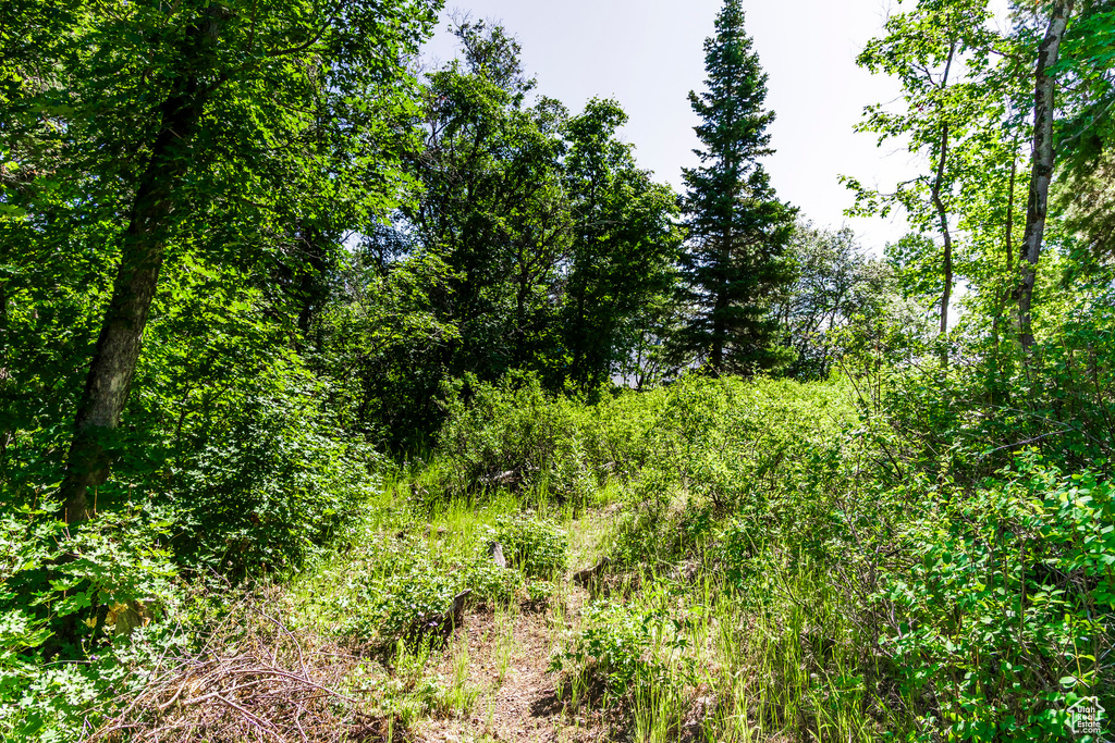 951  HIDDEN CIR Wanship, UT 84017