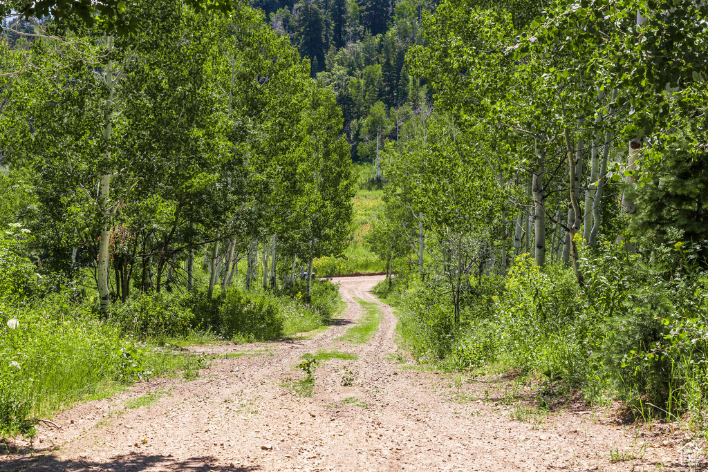 951  HIDDEN CIR Wanship, UT 84017