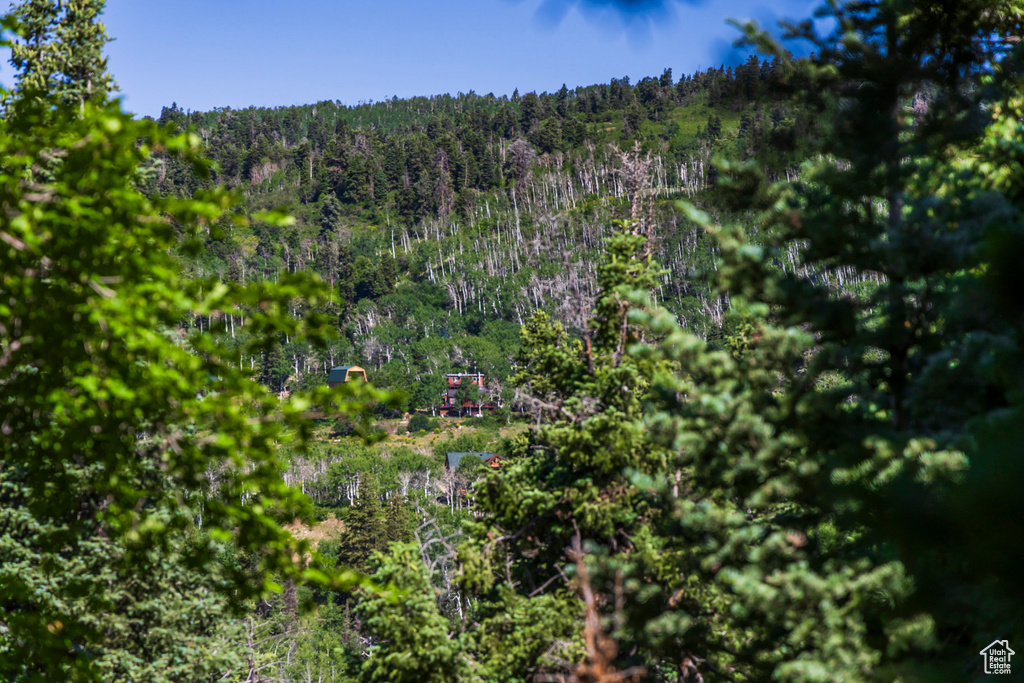 View of tree filled area