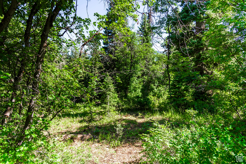 951  HIDDEN CIR Wanship, UT 84017