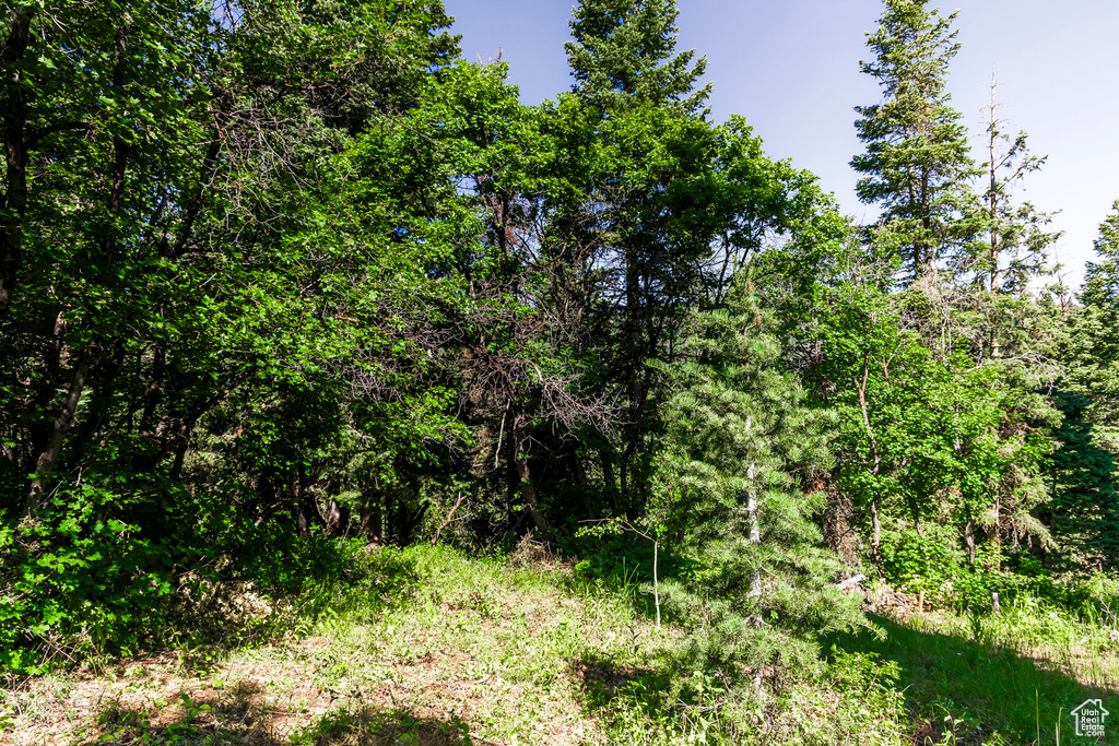 951  HIDDEN CIR Wanship, UT 84017