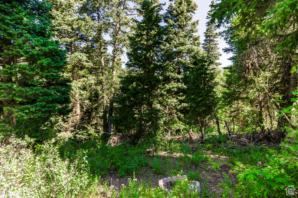 951  HIDDEN CIR Wanship, UT 84017