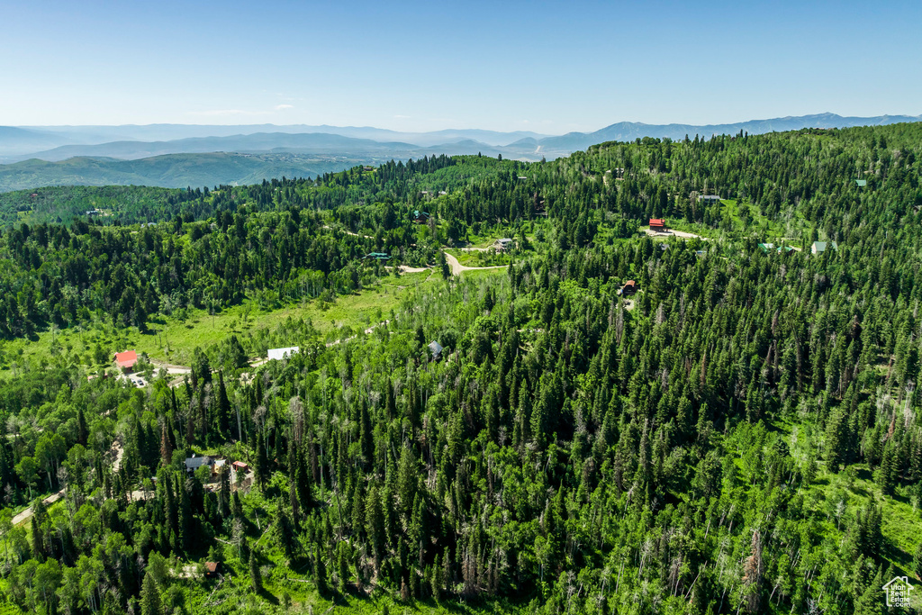 View of mountain backdrop featuring a forest