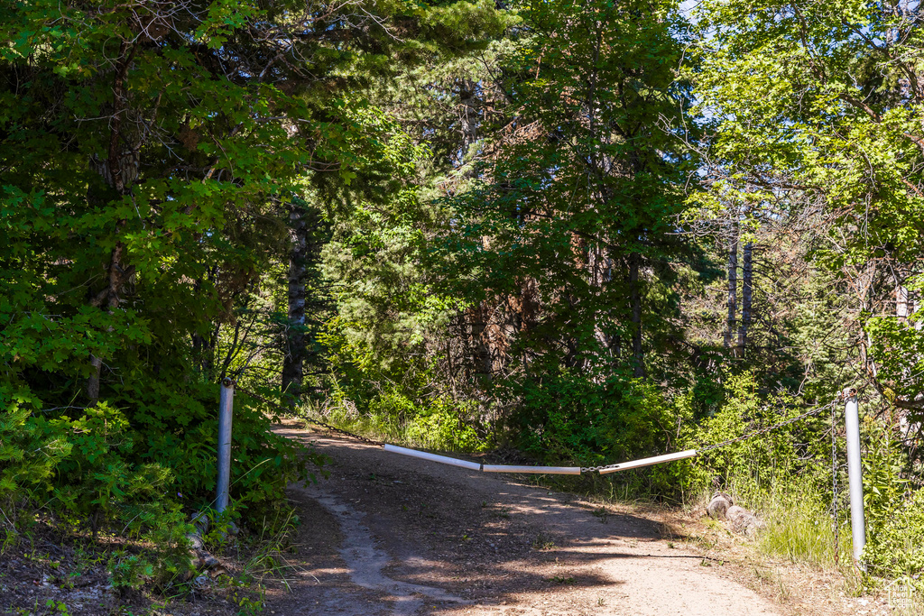 View of street with a forest view