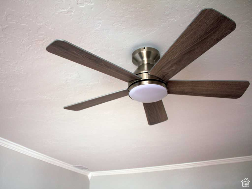 Detailed view of crown molding and ceiling fan