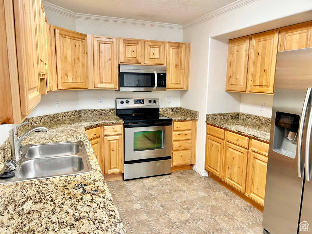 Kitchen featuring appliances with stainless steel finishes, light brown cabinets, and crown molding
