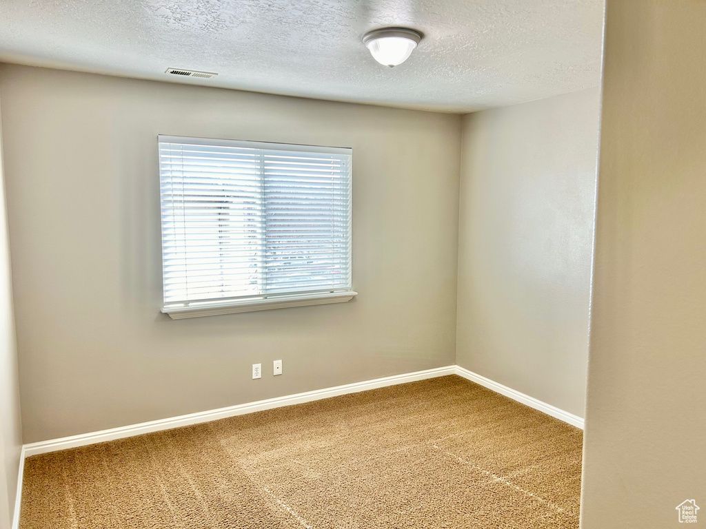 Spare room with carpet floors and a textured ceiling