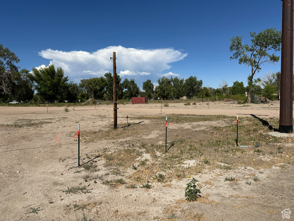 View of yard with a view of rural / pastoral area