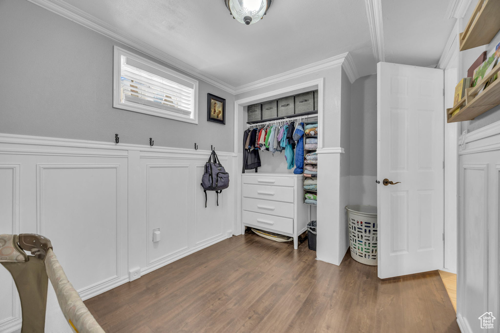 Spacious closet featuring dark wood-style floors