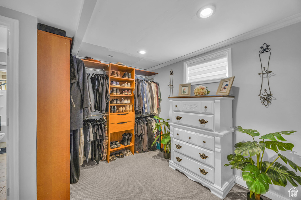 Spacious closet featuring carpet