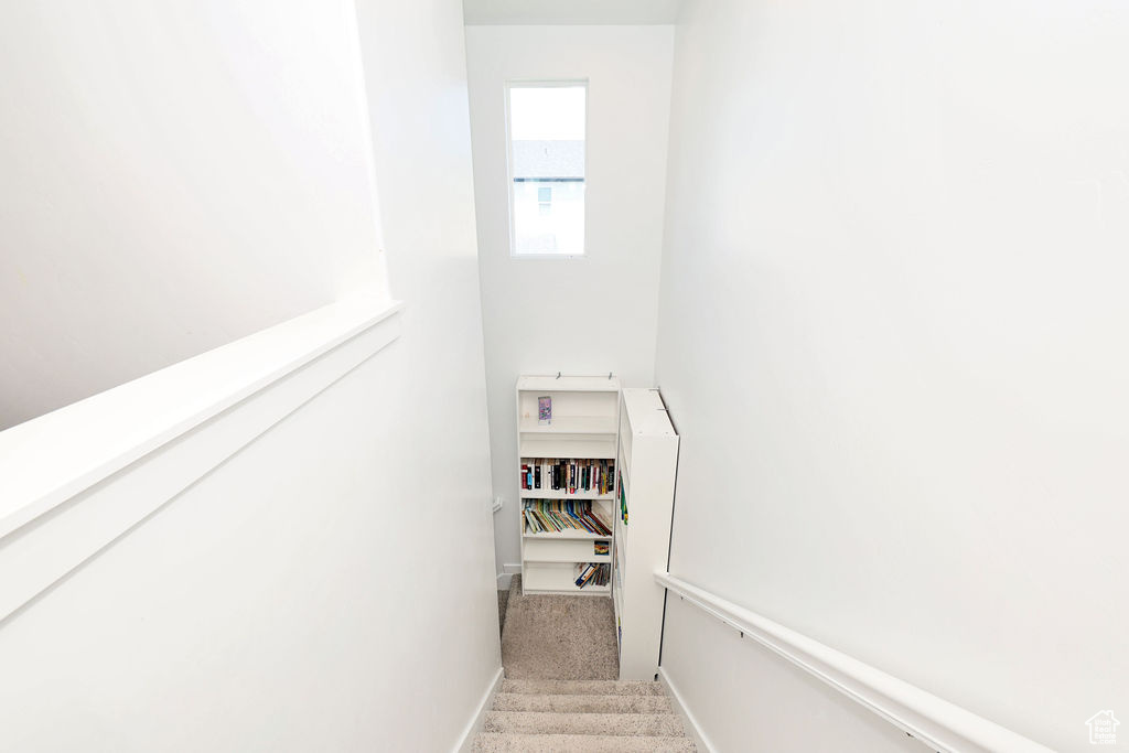 Stairway featuring carpet floors and baseboards