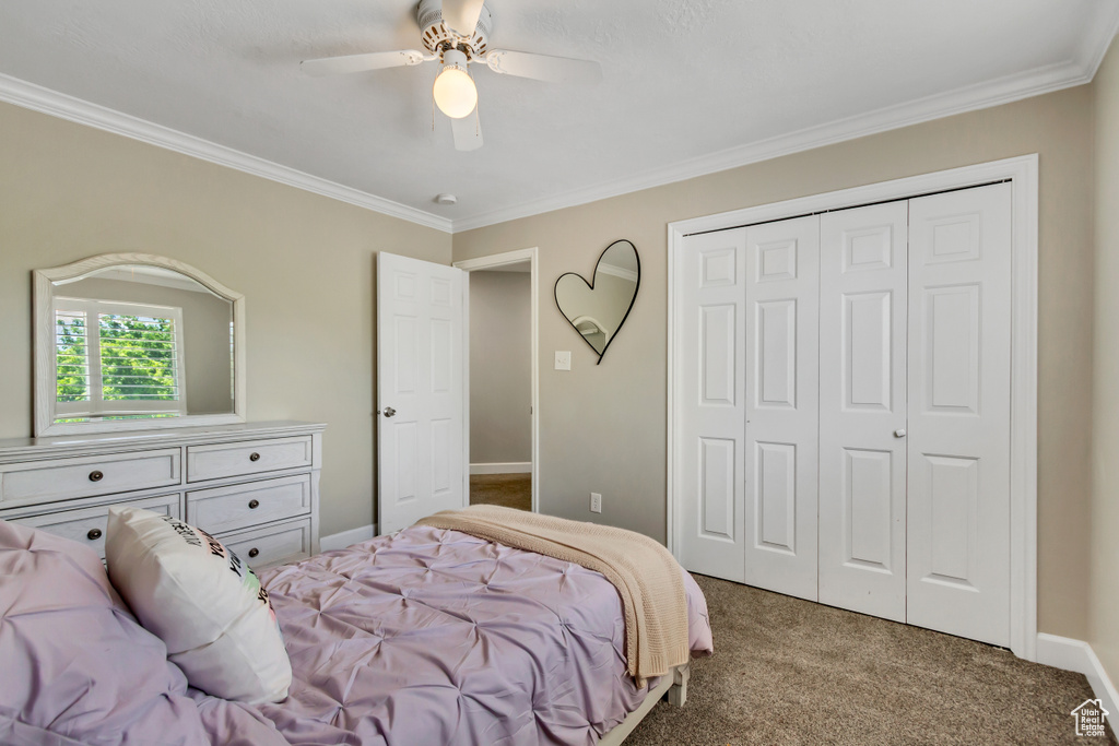 6063 S KAMAS DR Taylorsville, UT 84129