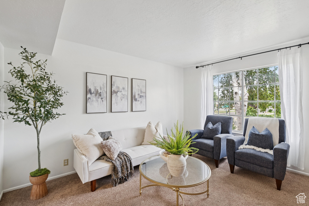 1074 E SPRING RIDGE DR Sandy, UT 84094