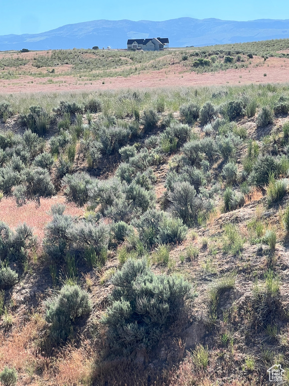 Levan, UT 84639