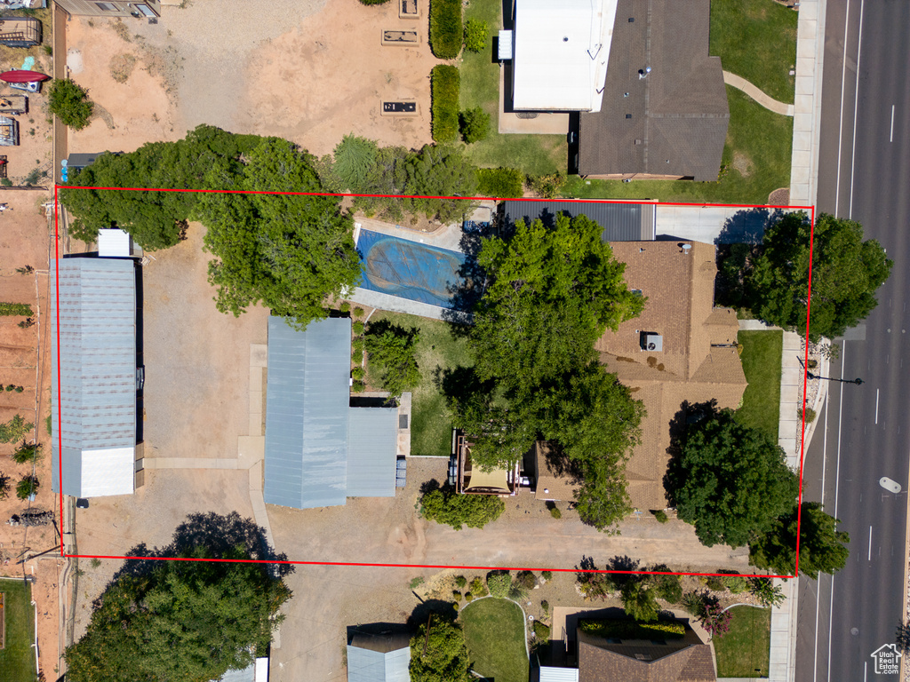 Bird\'s eye view