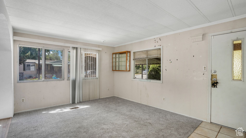 Empty room featuring plenty of natural light, carpet, and crown molding