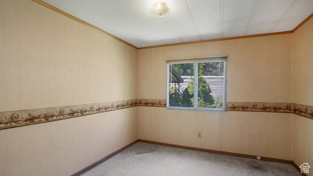 Spare room with light carpet and crown molding