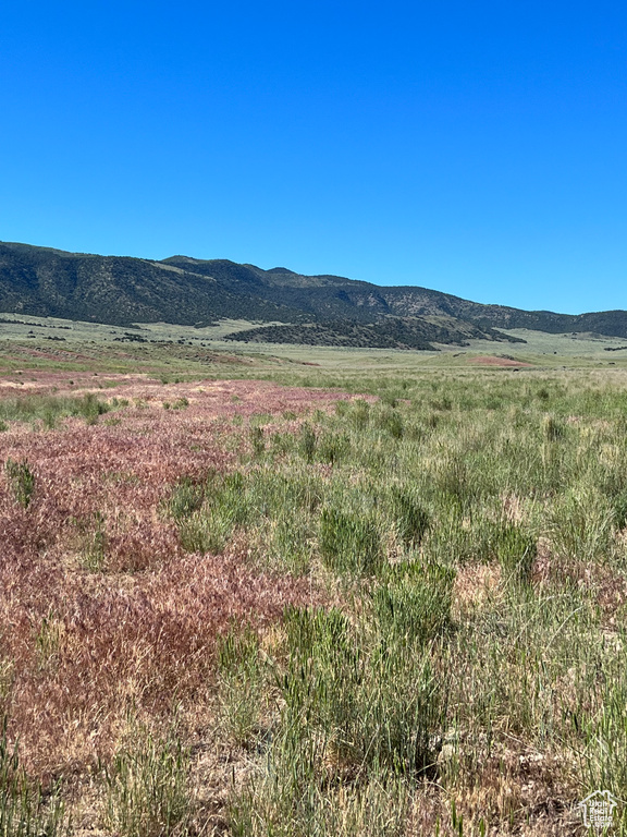 Levan, UT 84639