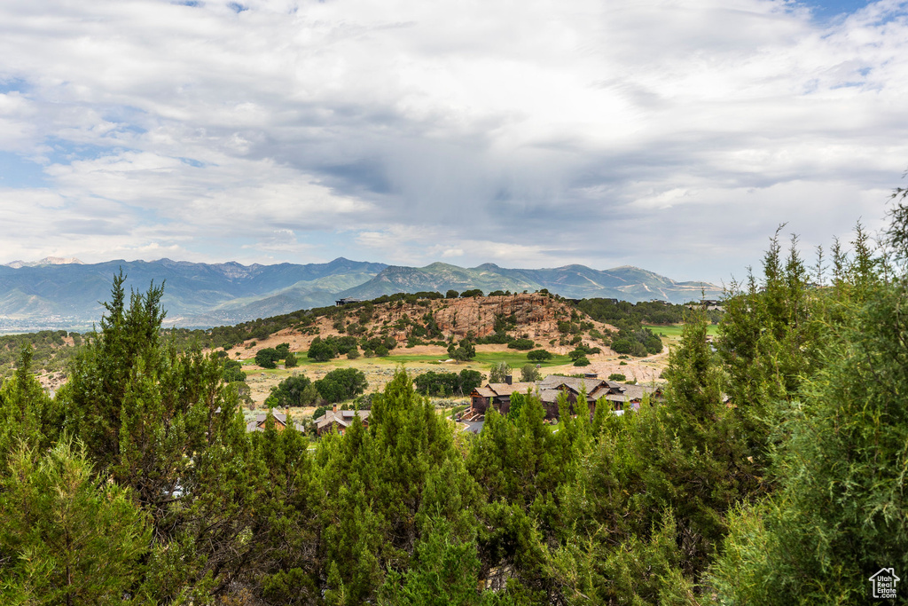 223 N IBAPAH PEAK DR Heber City, UT 84032