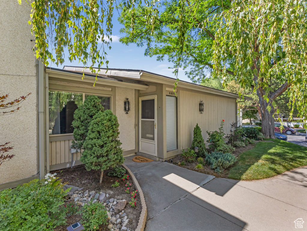 Doorway to property featuring stucco siding