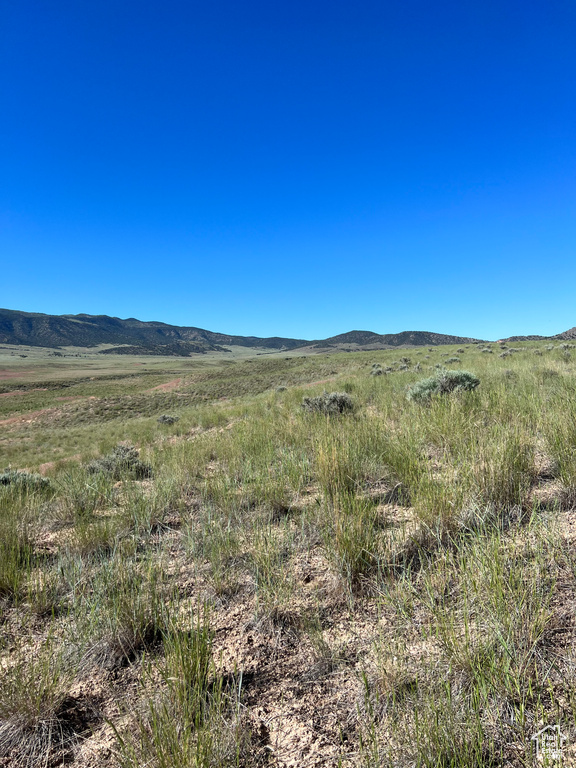  Levan, UT 84639