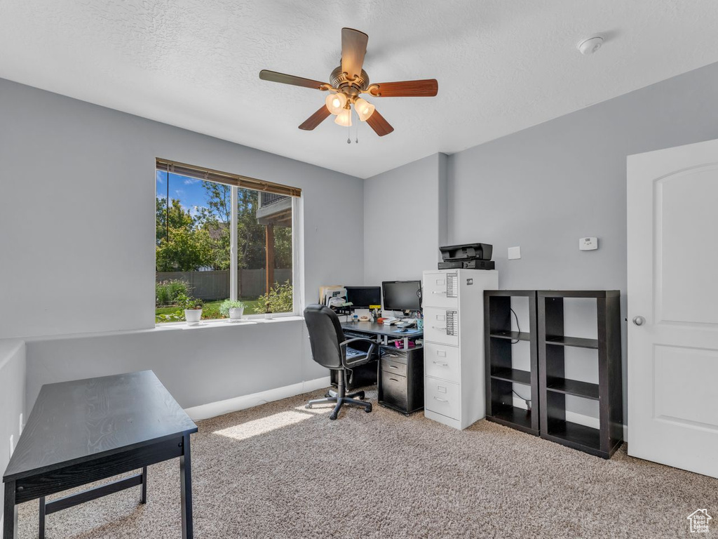 Carpeted office with ceiling fan and a textured ceiling