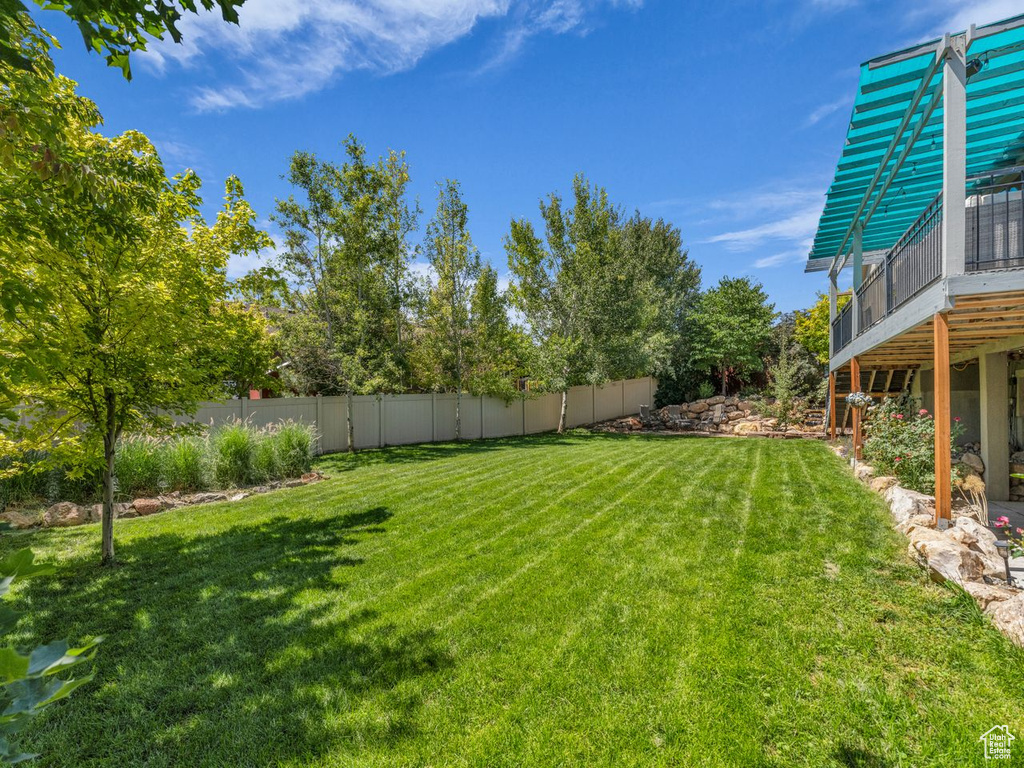 View of yard