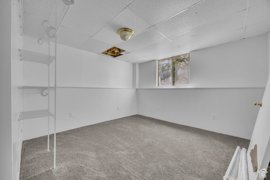 Unfurnished room featuring carpet flooring and a paneled ceiling