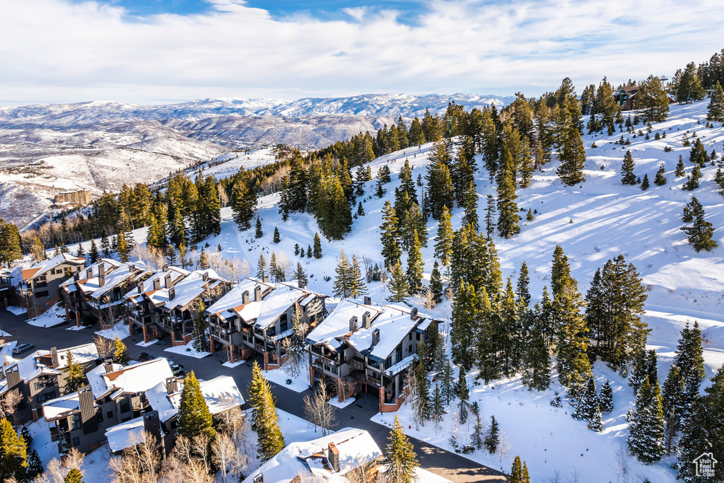 Snowy aerial view featuring a mountain view and a residential view