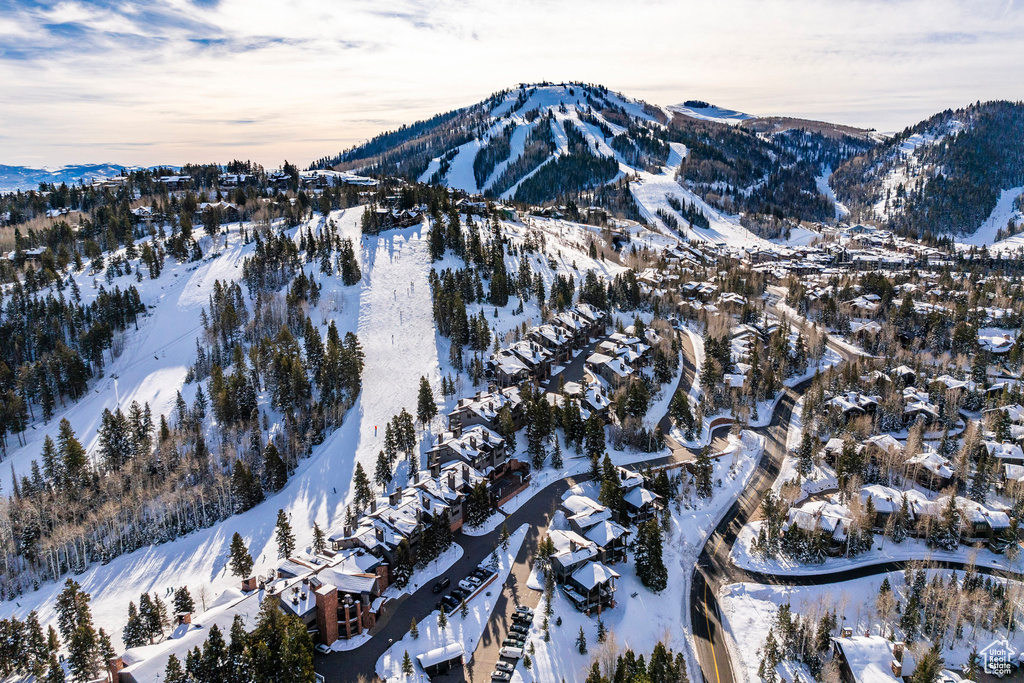 Mountain view featuring nearby suburban area