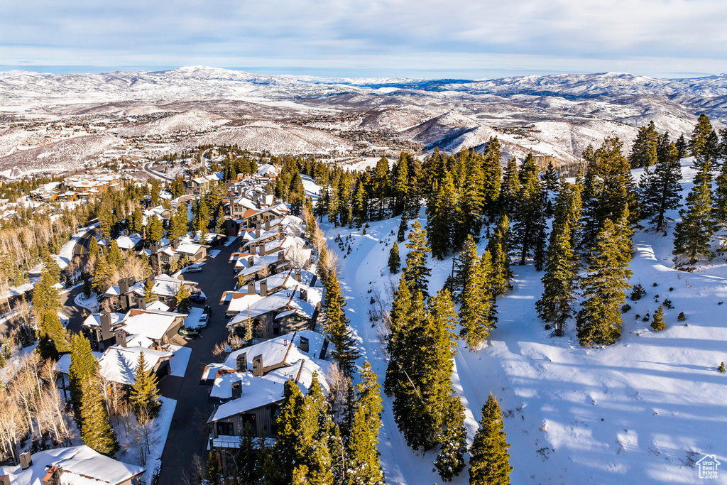 Snowy aerial view featuring a mountain view and a residential view