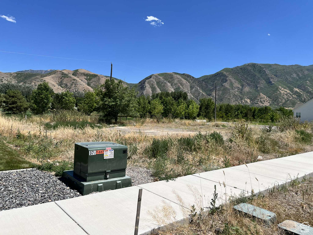 View of mountain background