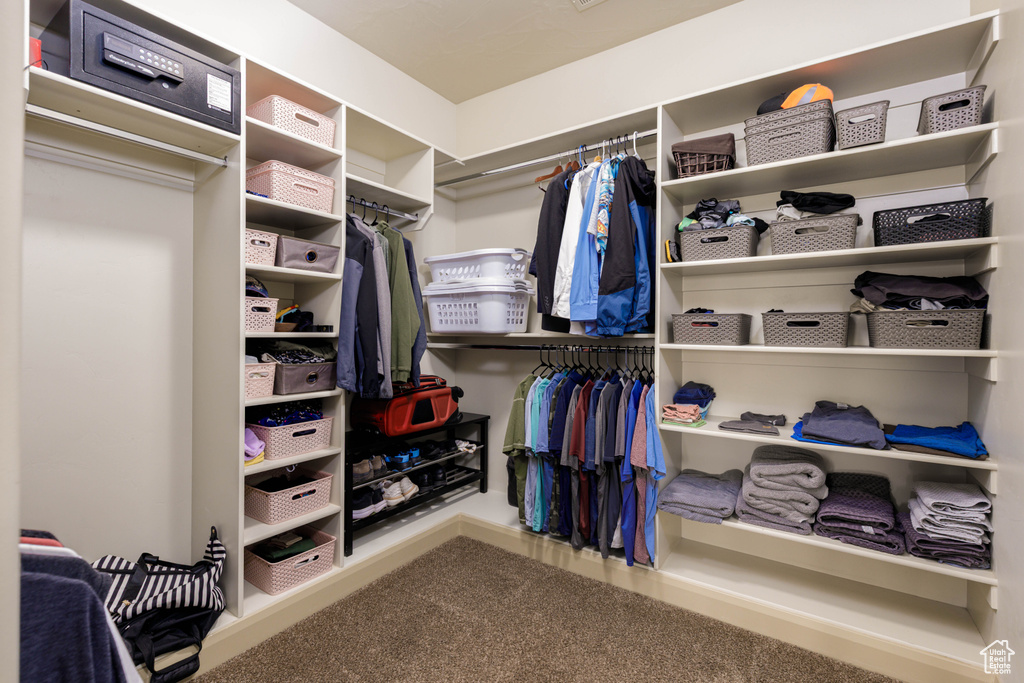 Walk in closet featuring carpet floors