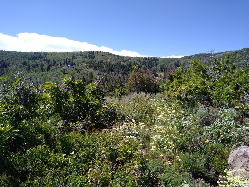 4891 S WOODLAND WAY Kamas, UT 84036