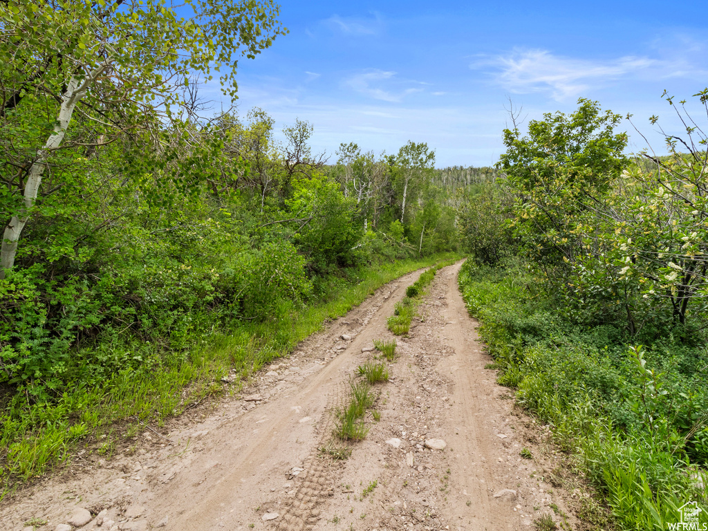 4891 S WOODLAND WAY Kamas, UT 84036