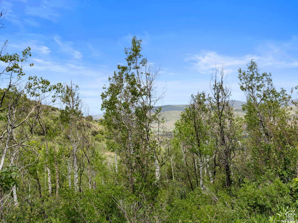 4891 S WOODLAND WAY Kamas, UT 84036