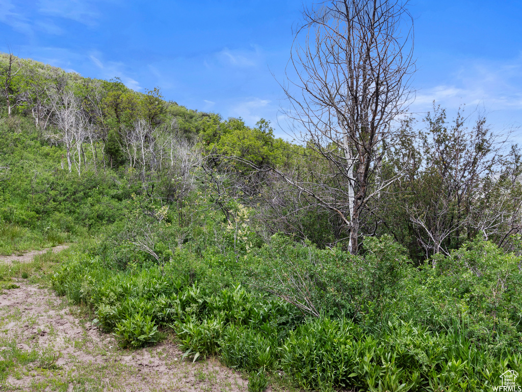 4891 S WOODLAND WAY Kamas, UT 84036