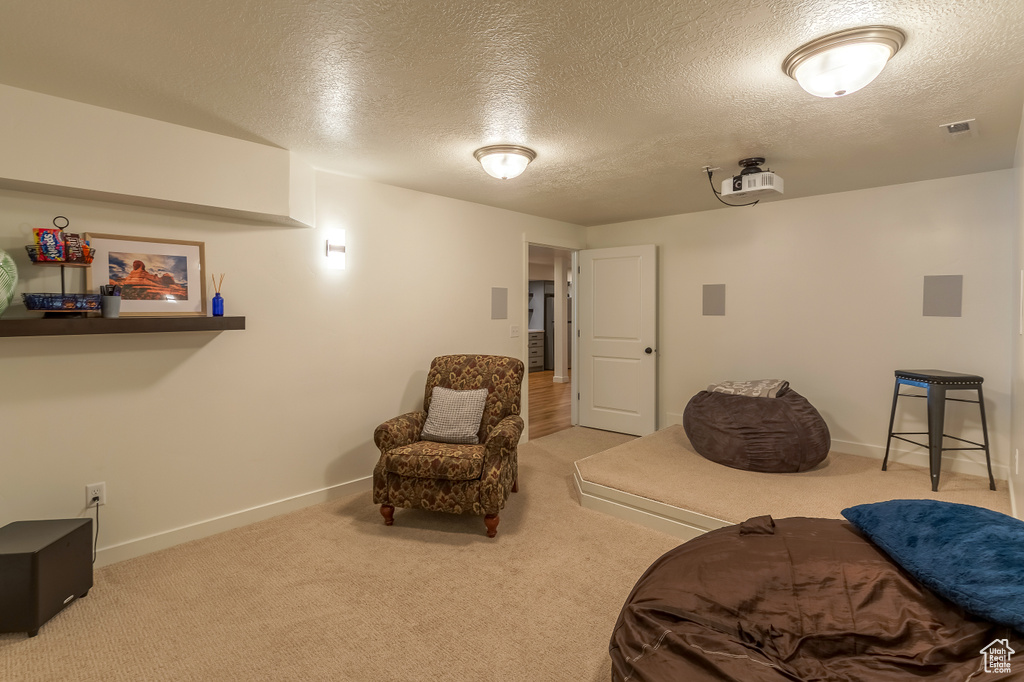 Sitting room with carpet floors and a textured ceiling