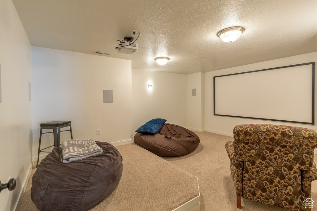 Carpeted home theater room with a textured ceiling and baseboards