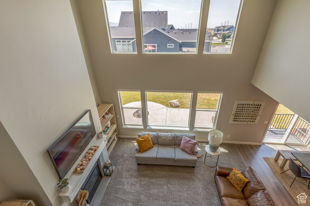Living area featuring a high ceiling and wood finished floors