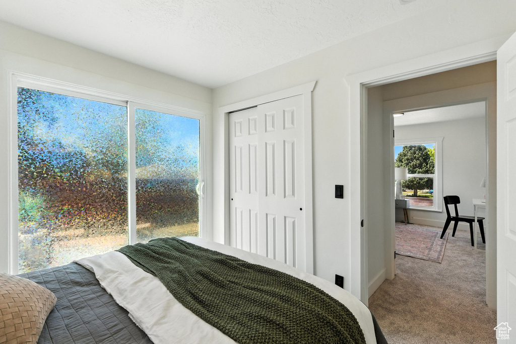 291 S 700 E Spanish Fork, UT 84660